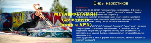 прущие грибы Нея