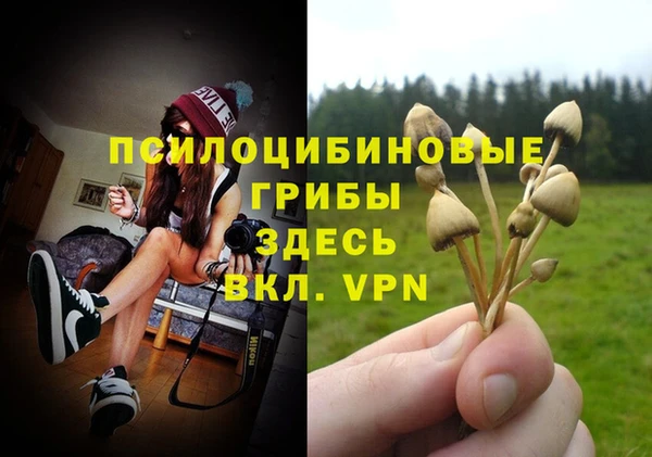 прущая мука Абаза