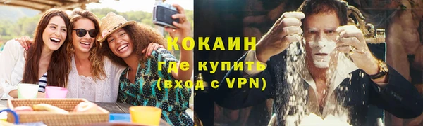 индика Апатиты